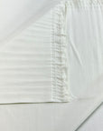 (SWIM RIB) IVORY