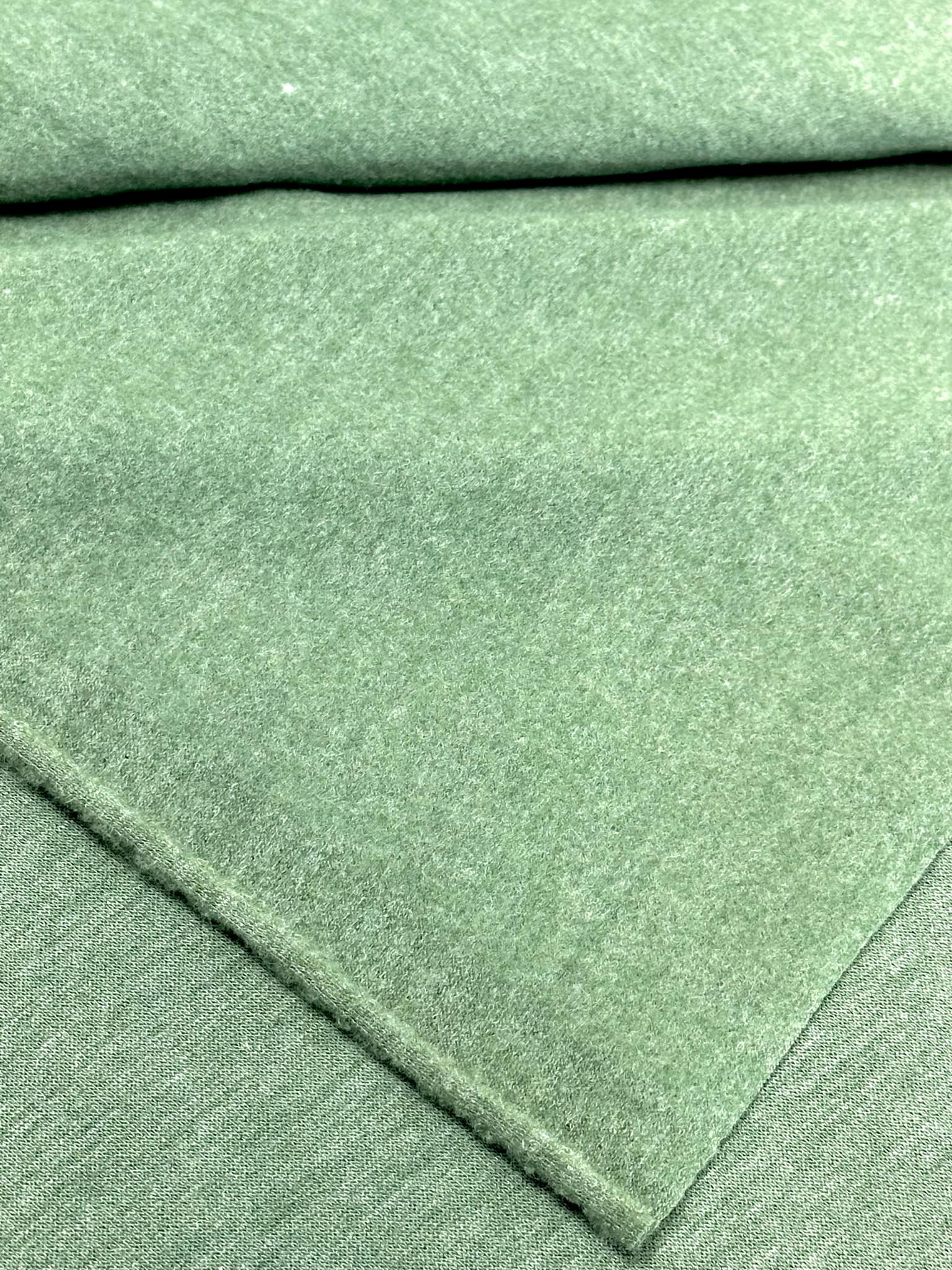 (FRENCH TERRY BRUSHED) 2-TONE GREEN