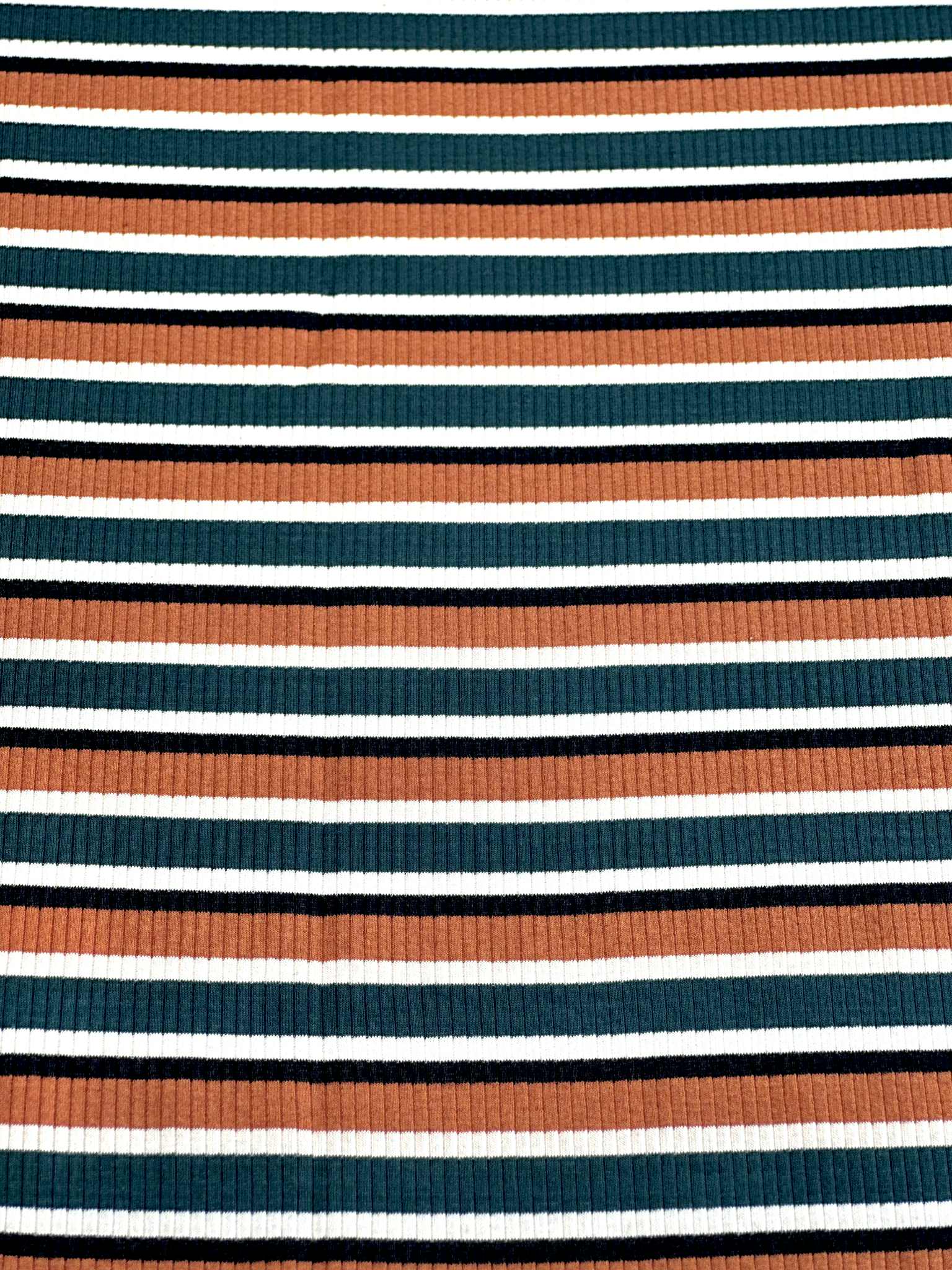 (COTTON RIB) DARK GREEN, BRIGHT RUST, BLACK, AND CREAM STRIPES
