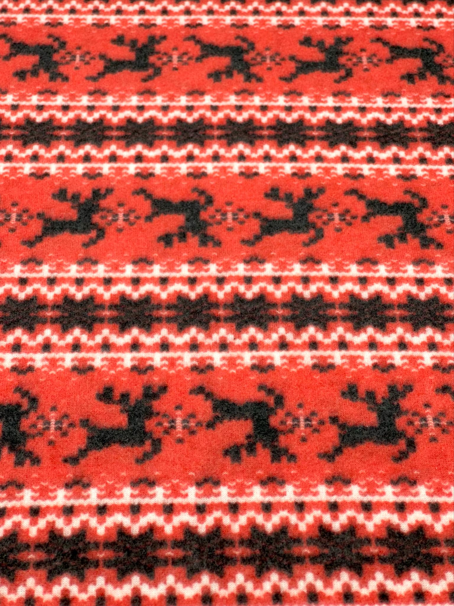 (BRUSHED SWEATER KNIT) BLACK REINDEERS ON RED