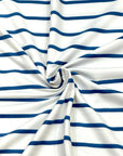 (DBP) INDIGO STRIPES ON OFF WHITE (1)