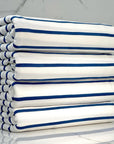 (DBP) INDIGO STRIPES ON OFF WHITE (1)