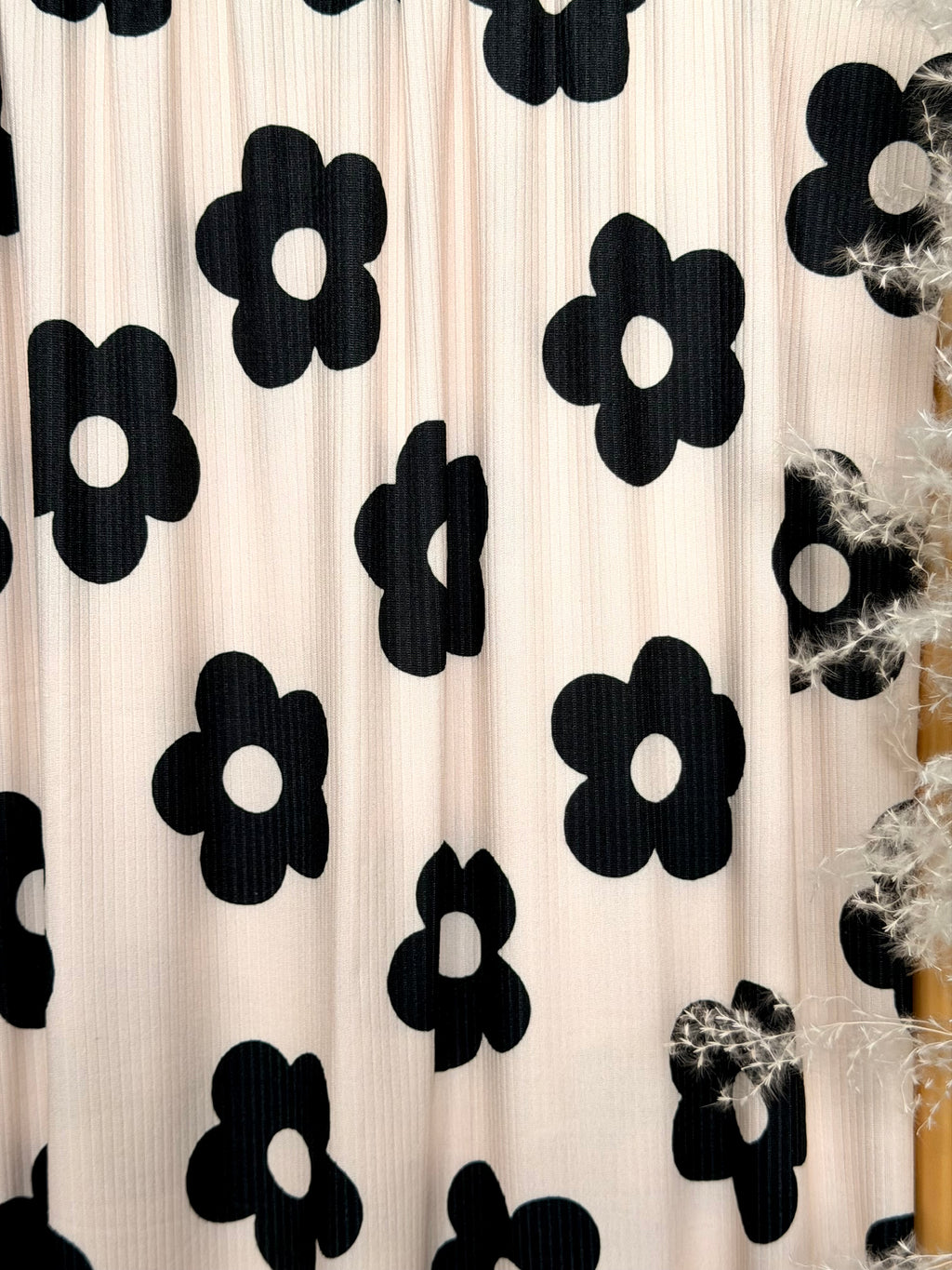 (4X2 YUMMY RIB) BLACK DAISIES ON VANILLA