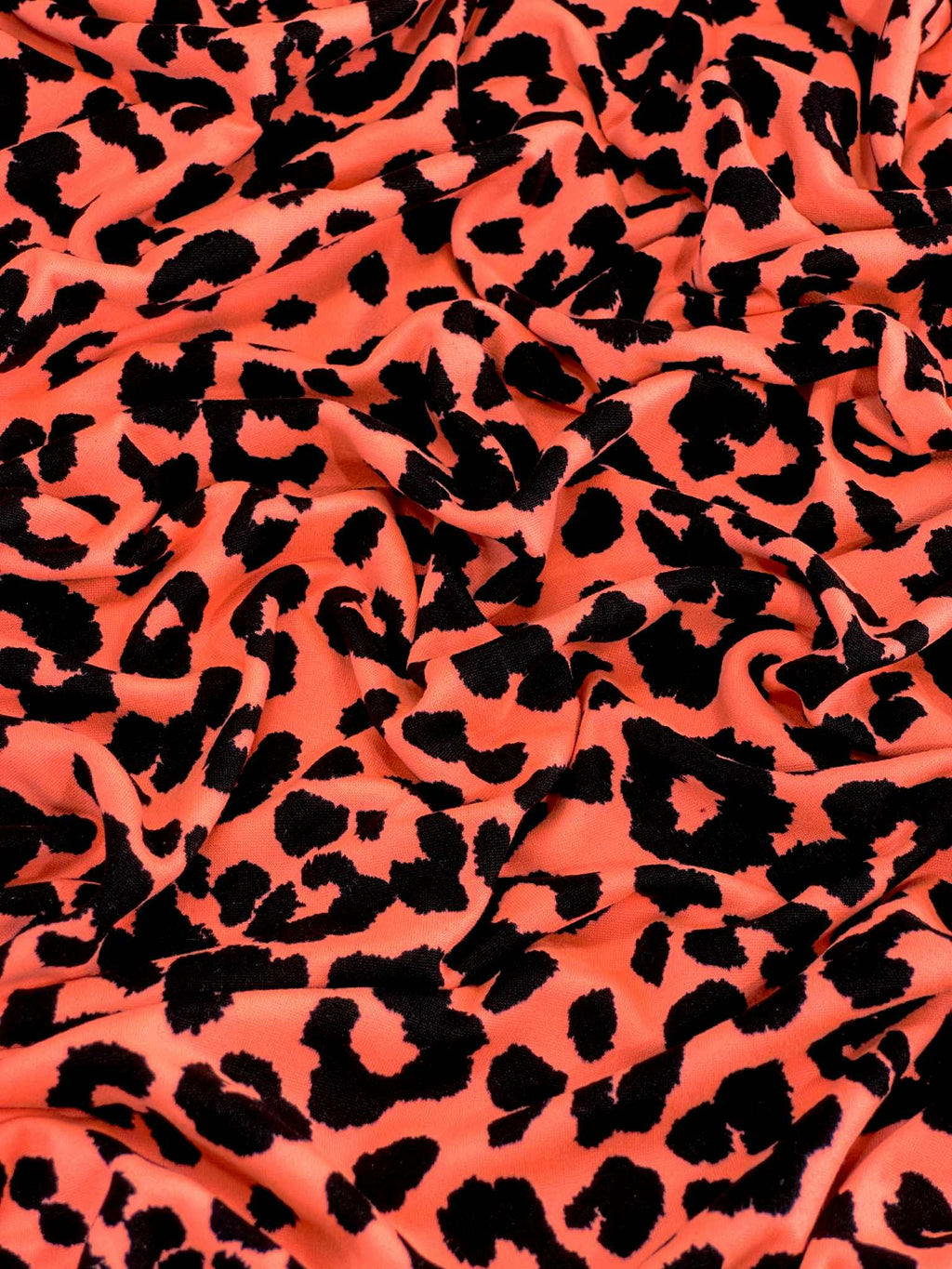 (DBP) BLACK LEOPARD ON BRIGHT ORANGE