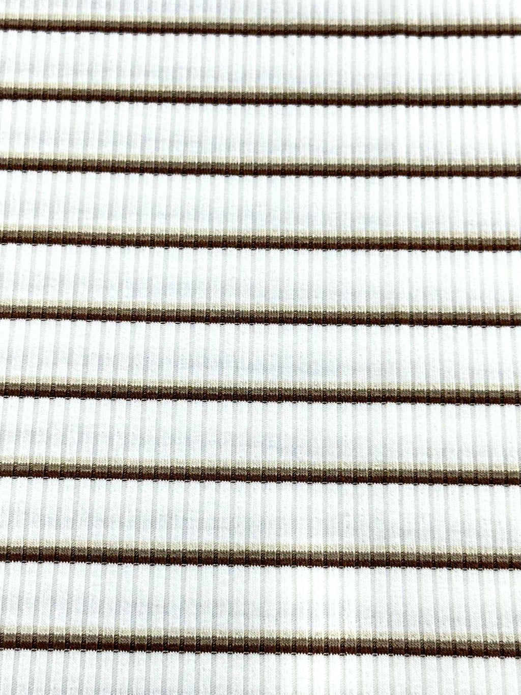(COTTON RIB) BROWN STRIPES ON OFF WHITE