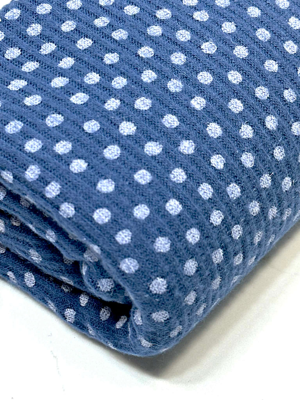 (RIB BRUSHED) POLKA DOTS ON NAVY