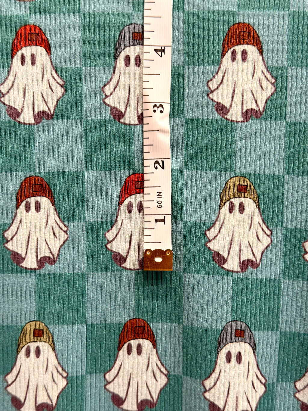 (2X2 YUMMY RIB) GHOSTS IN BEANIES ON TEAL/ AQUA CHECKERED
