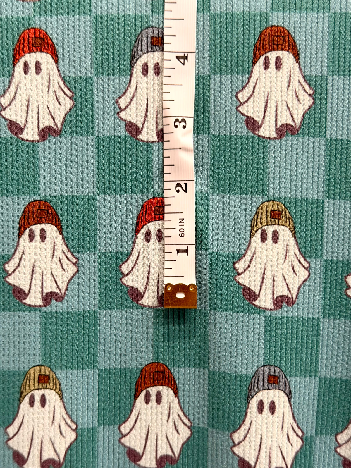 (2X2 YUMMY RIB) GHOSTS IN BEANIES ON TEAL/ AQUA CHECKERED