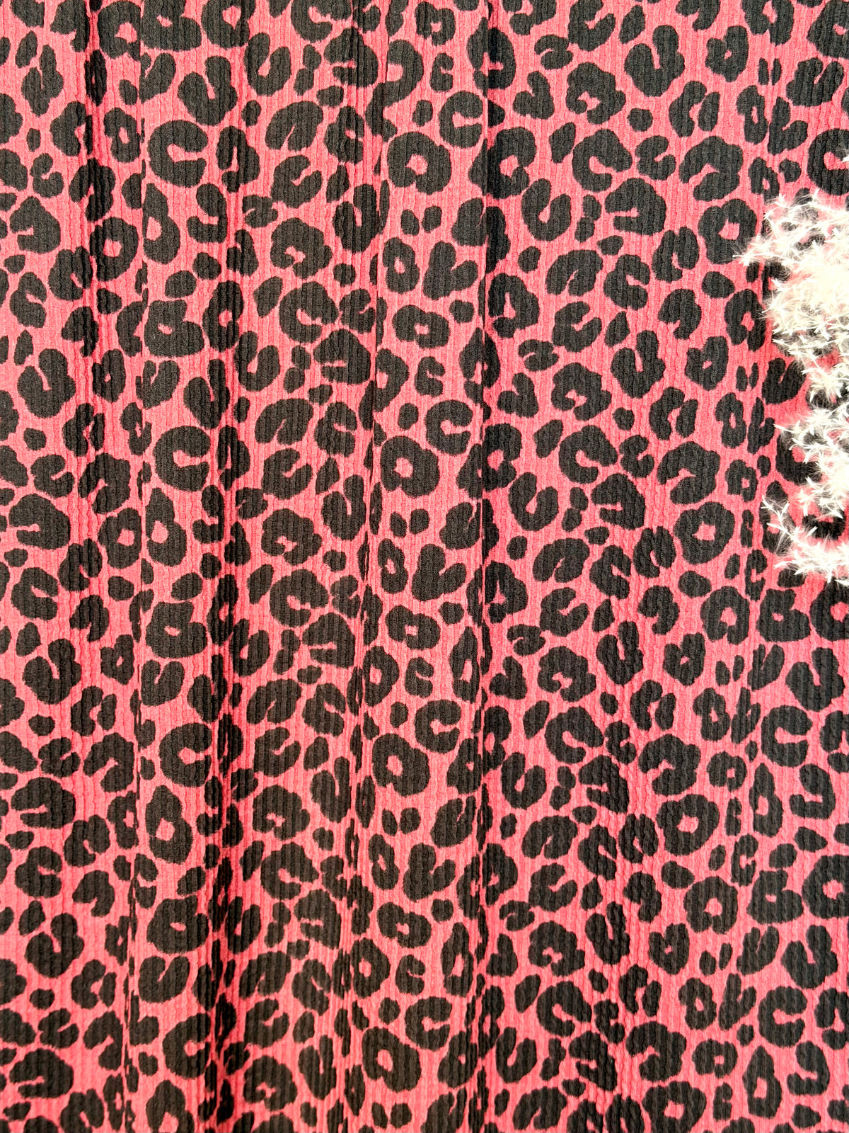 (URBAN RIB) BLACK LEOPARD ON RED