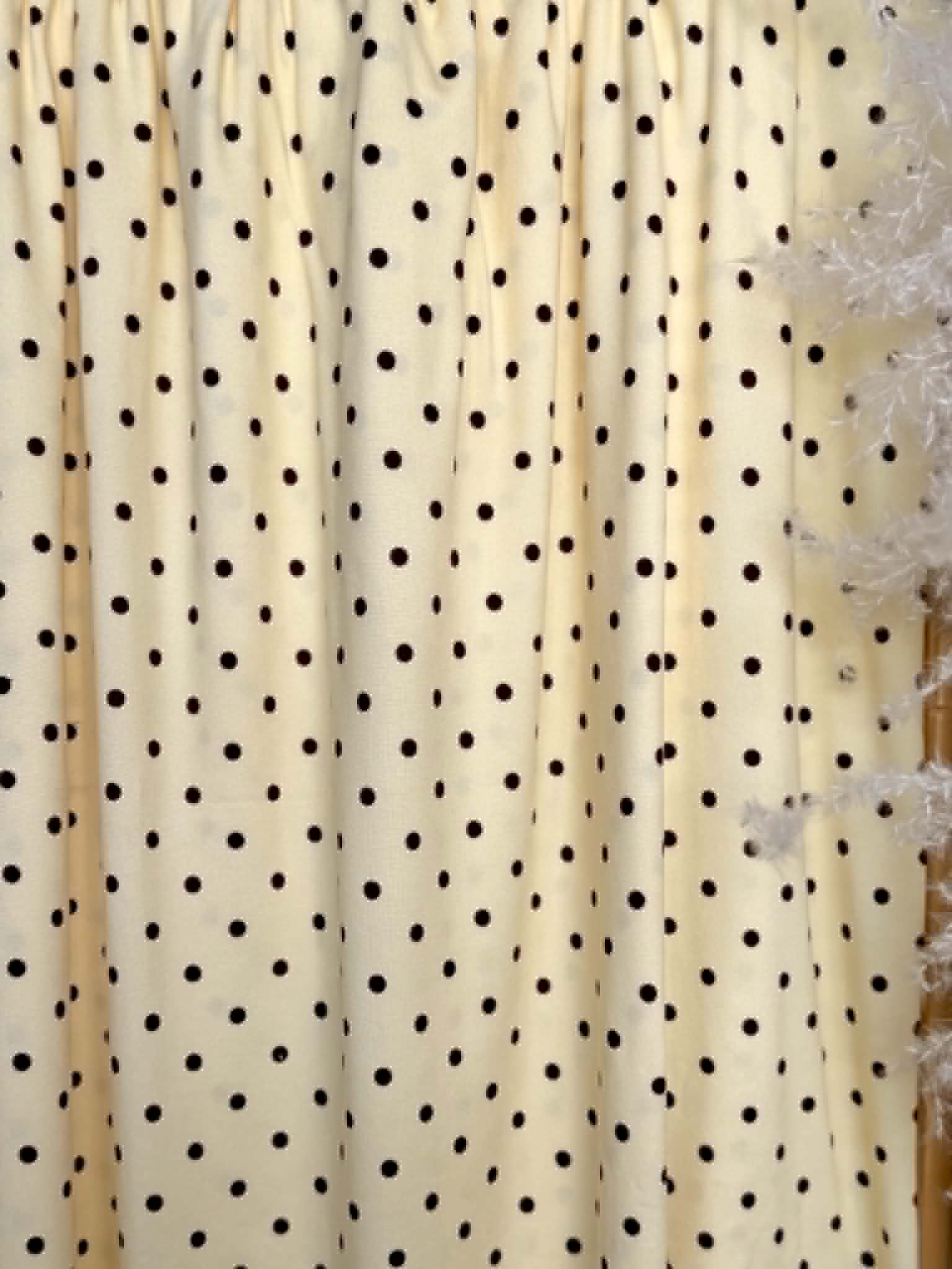 (DBP) BROWN POLKA DOTS ON SOFT YELLOW