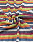 (SWEATER RIB) FALL STRIPES