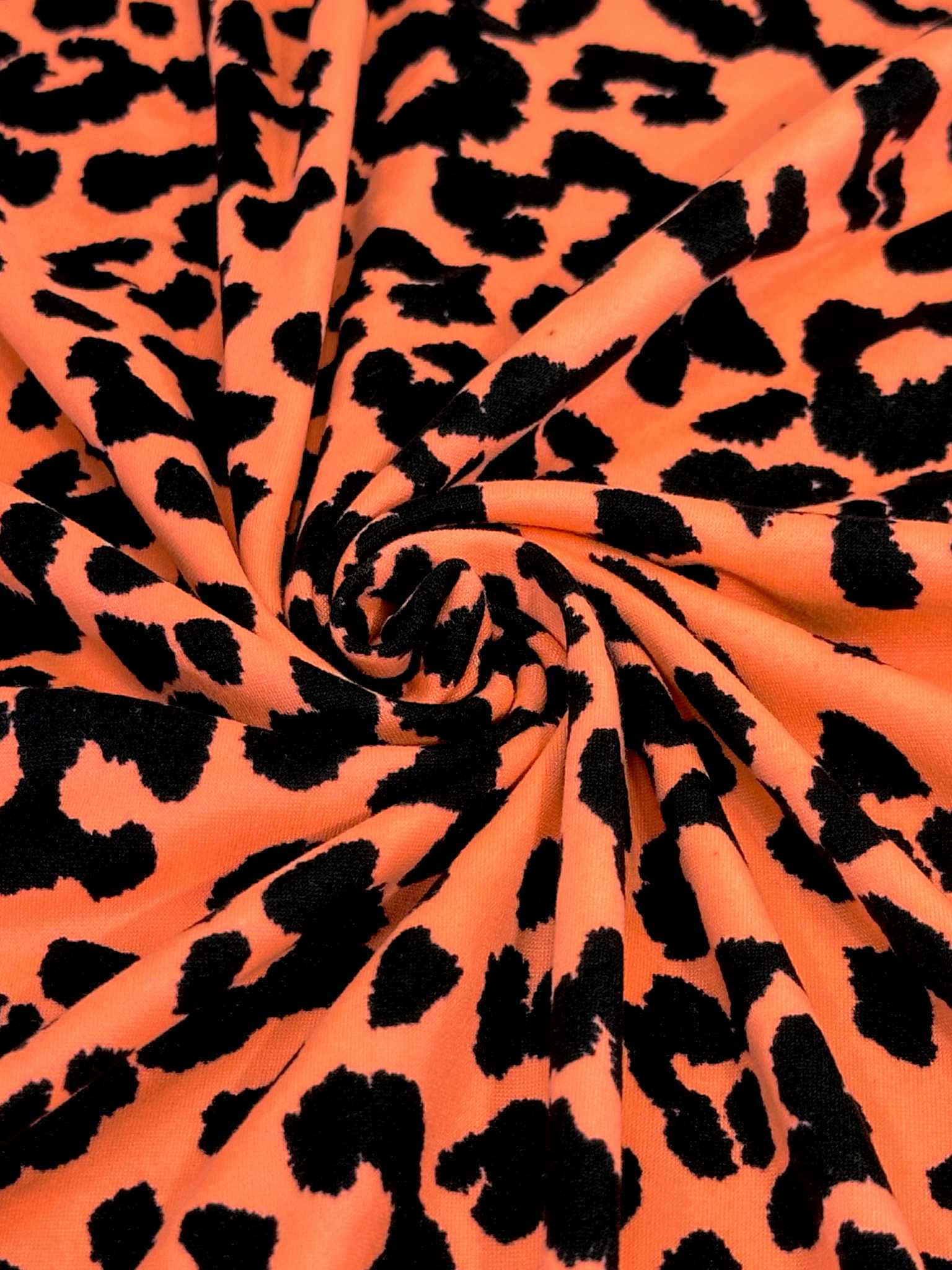 (DBP) BLACK LEOPARD ON BRIGHT ORANGE