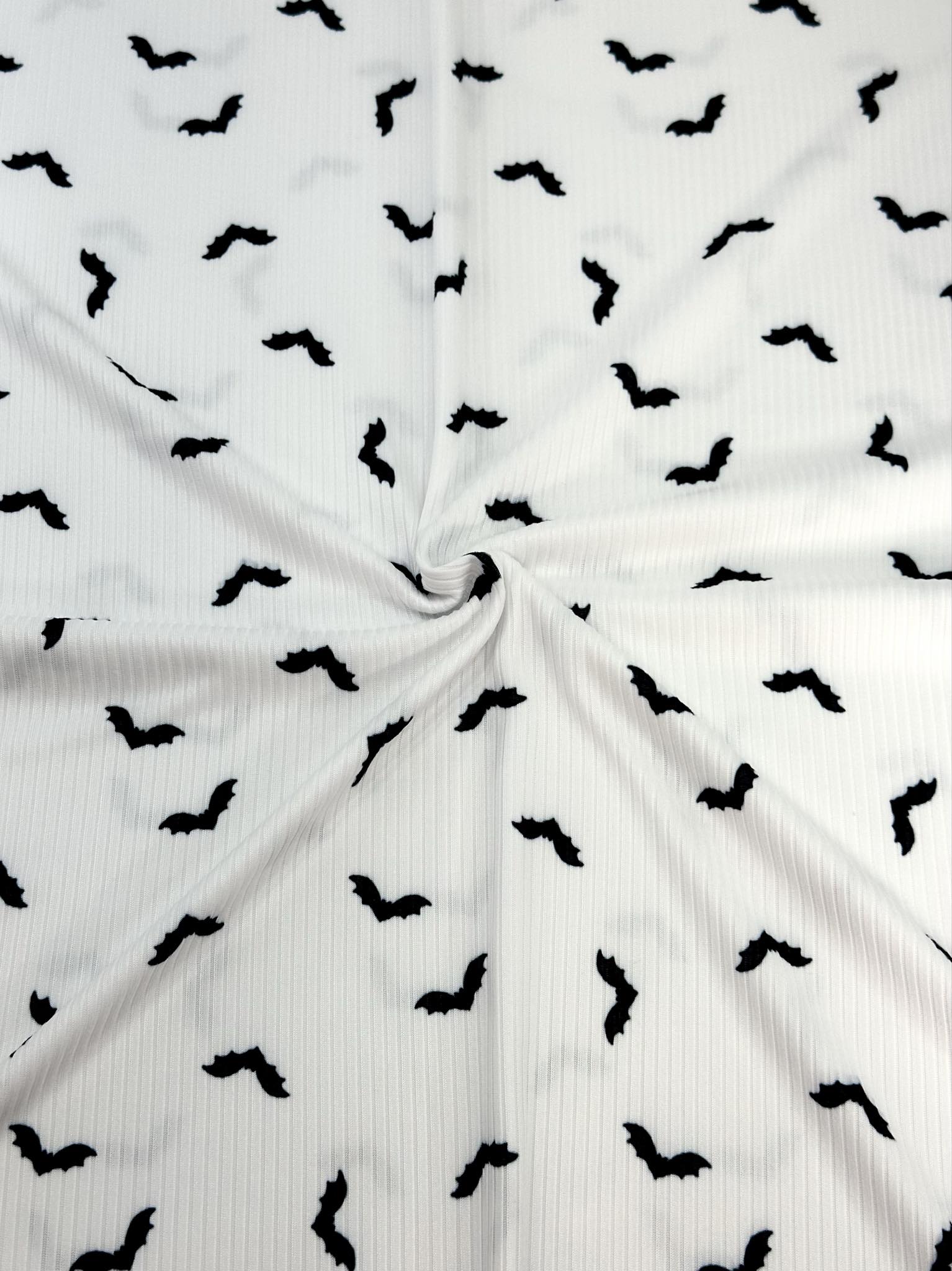 (YUMMY RIB) BLACK BATS ON OFF WHITE