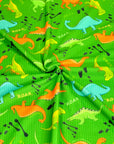 (YUMMY RIB) DINOSAURS ON GREEN