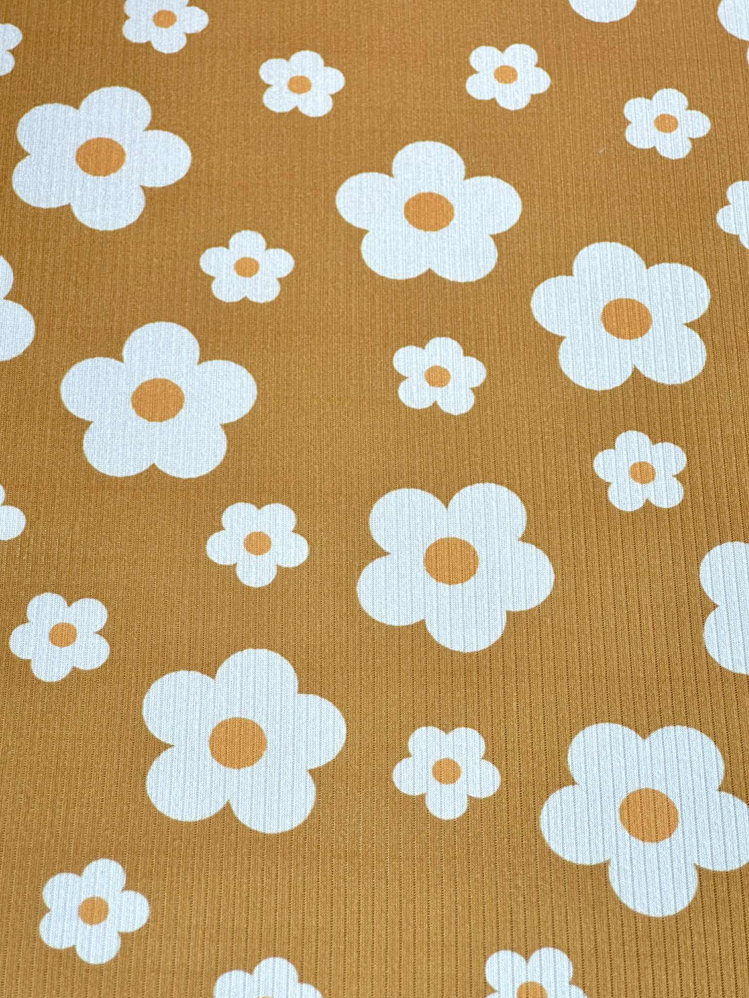 (4X2 RIB) CREAM DAISIES ON MUSTARD