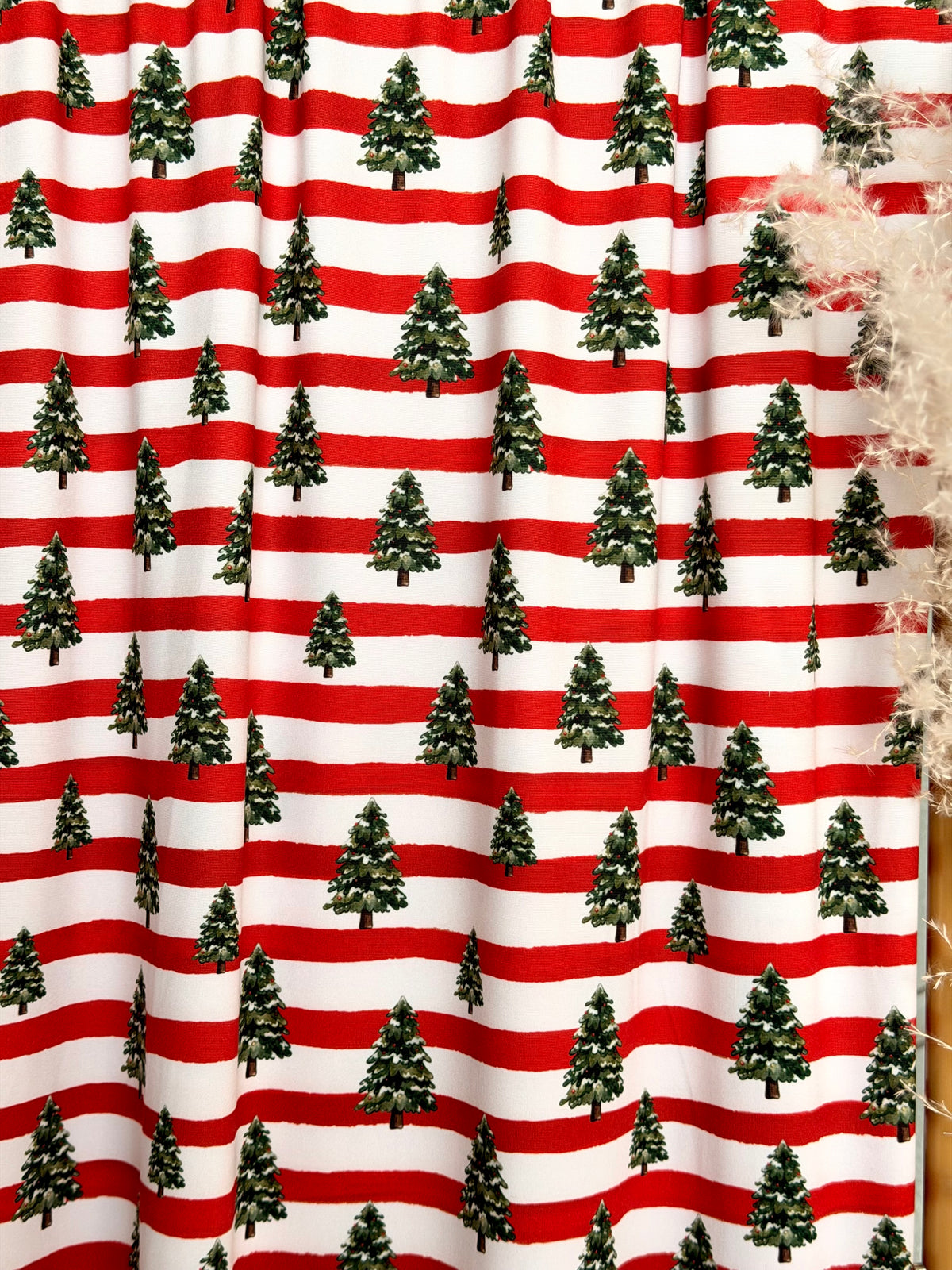 (DBP) CHRISTMAS TREES AND STRIPES