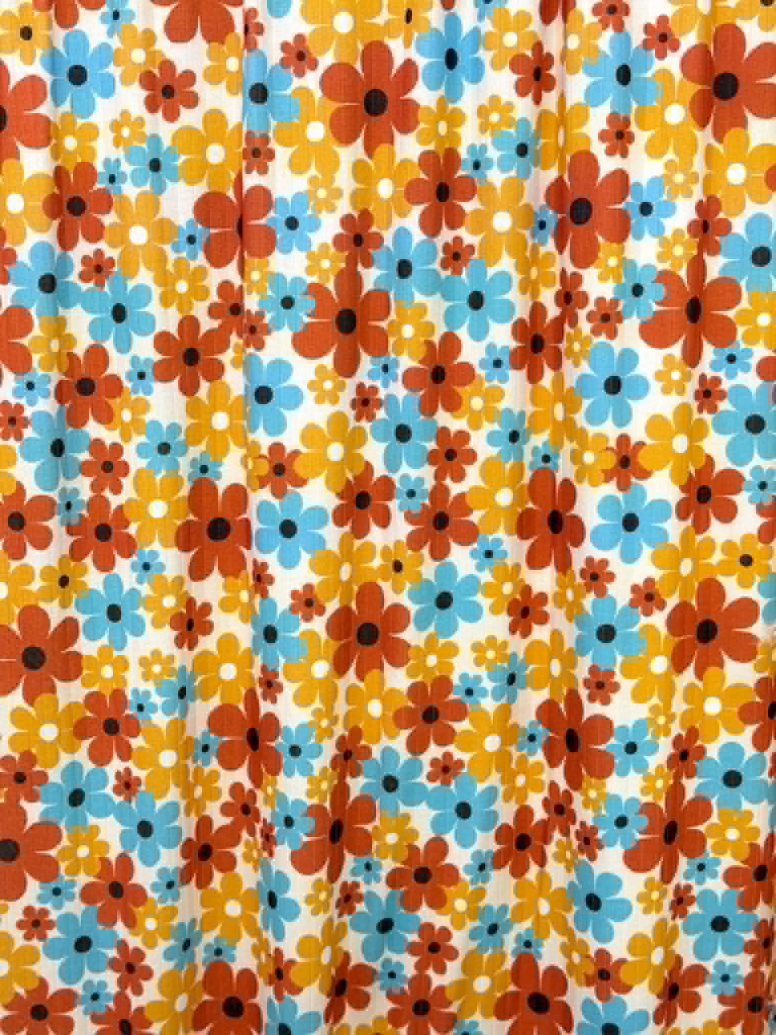 (POINTELLE RIB) RETRO BLOOM