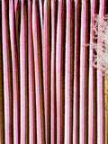 (MINKY) BROWN, PINK, LIGHT PINK & DARK DOWN STRIPES