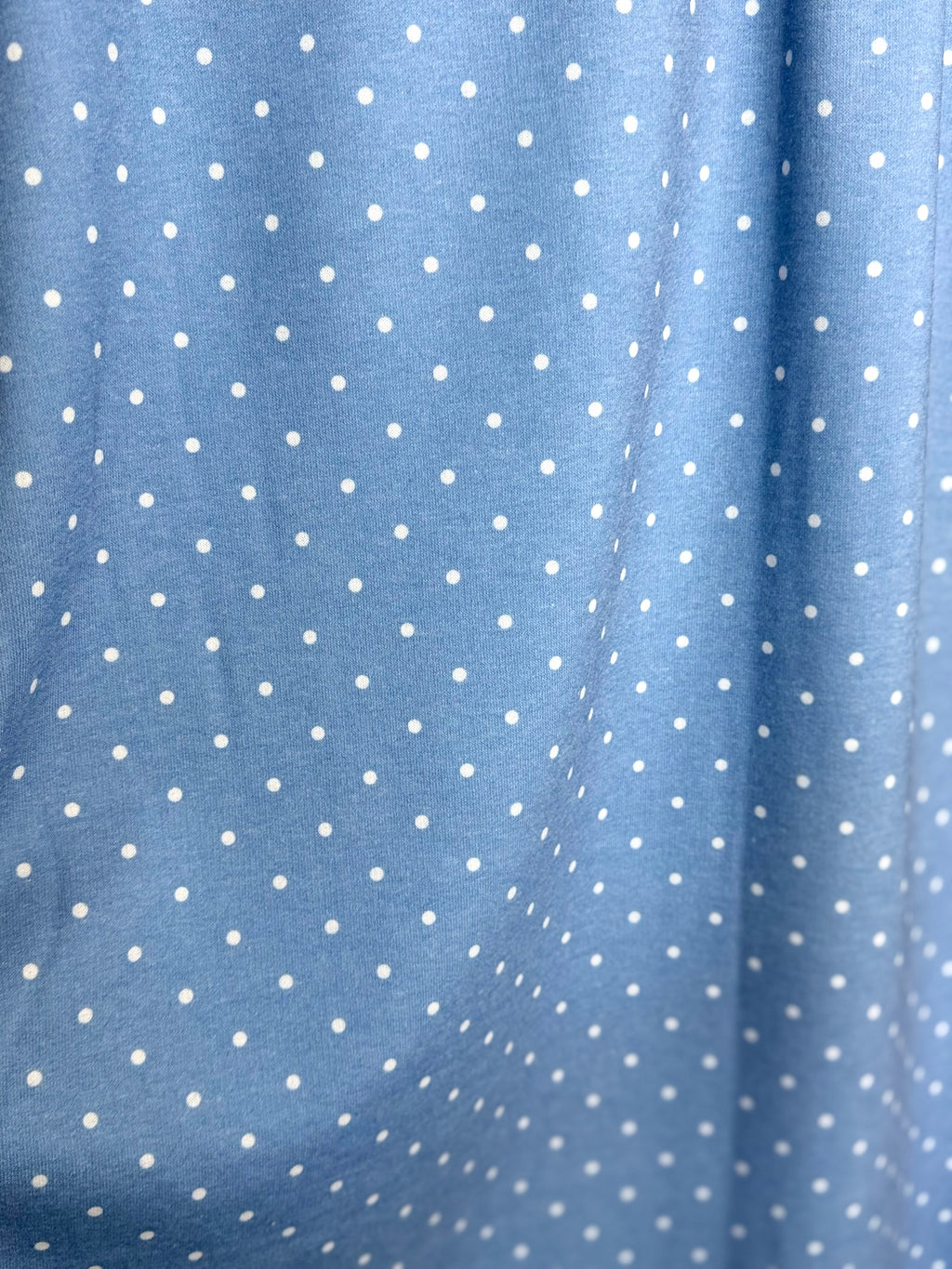 (FRENCH TERRY) OFF WHITE TINY POLKA DOTS ON DENIM