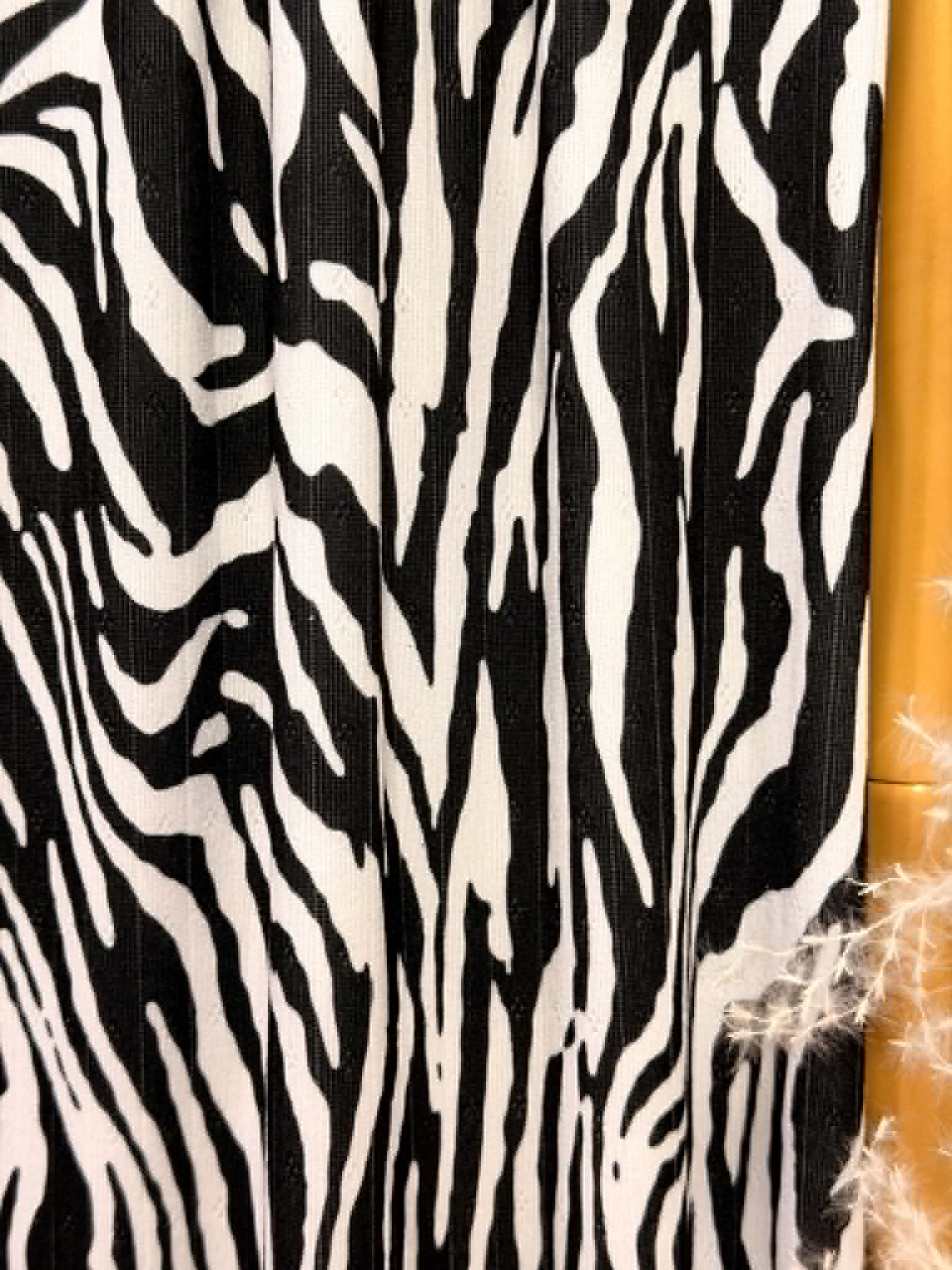 (POINTELLE RIB) SMALL BLACK ZEBRA ON OFF WHITE