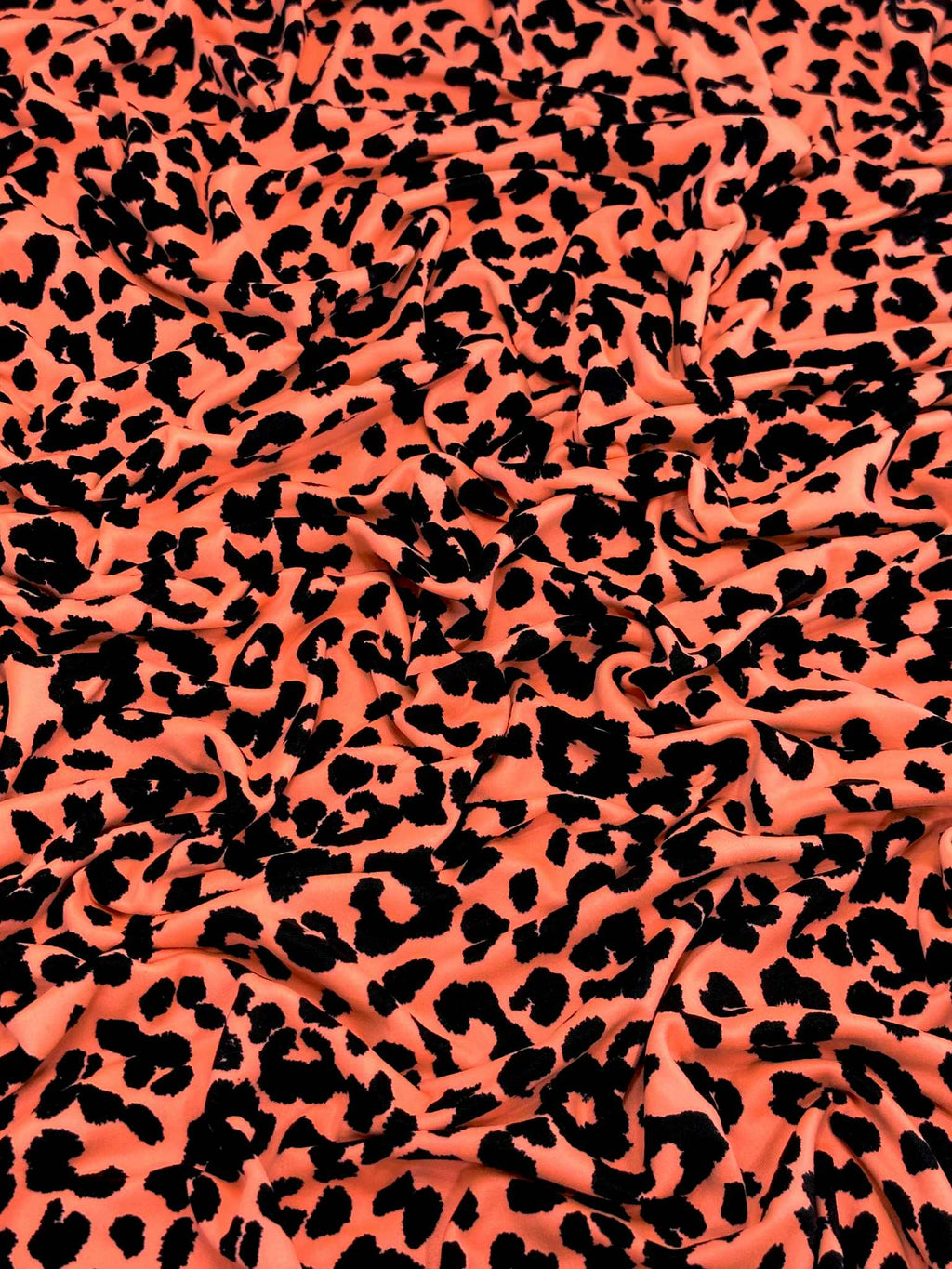 (DBP) BLACK LEOPARD ON BRIGHT ORANGE