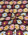 (DBP) TRI-COLOR DAISIES ON DARK BROWN