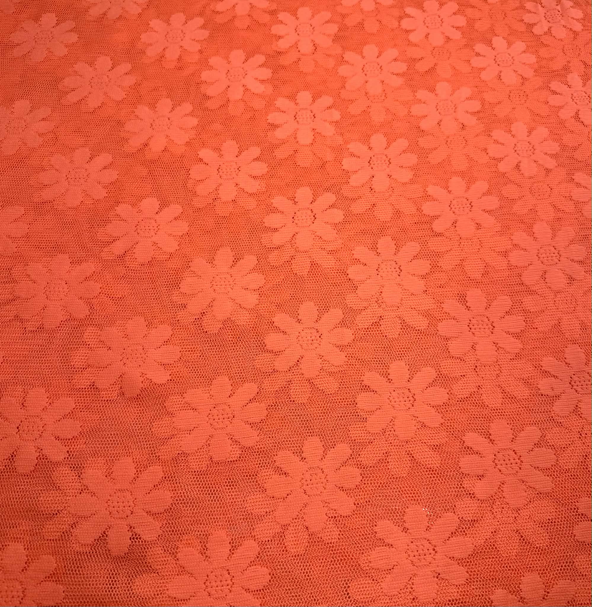 (LACE) BRIGHT ORANGE DAISIES