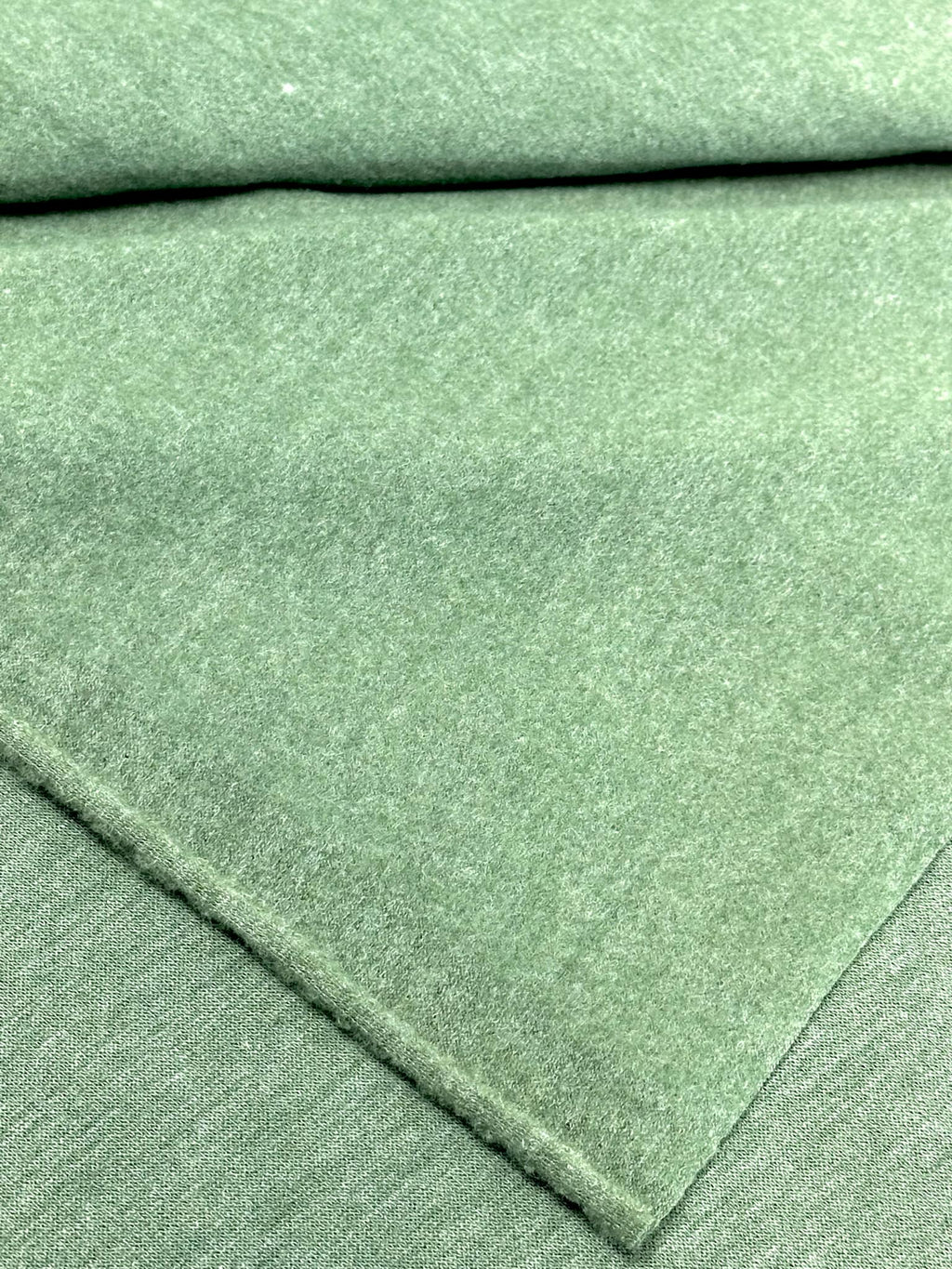 (FRENCH TERRY BRUSHED) 2-TONE GREEN (2)