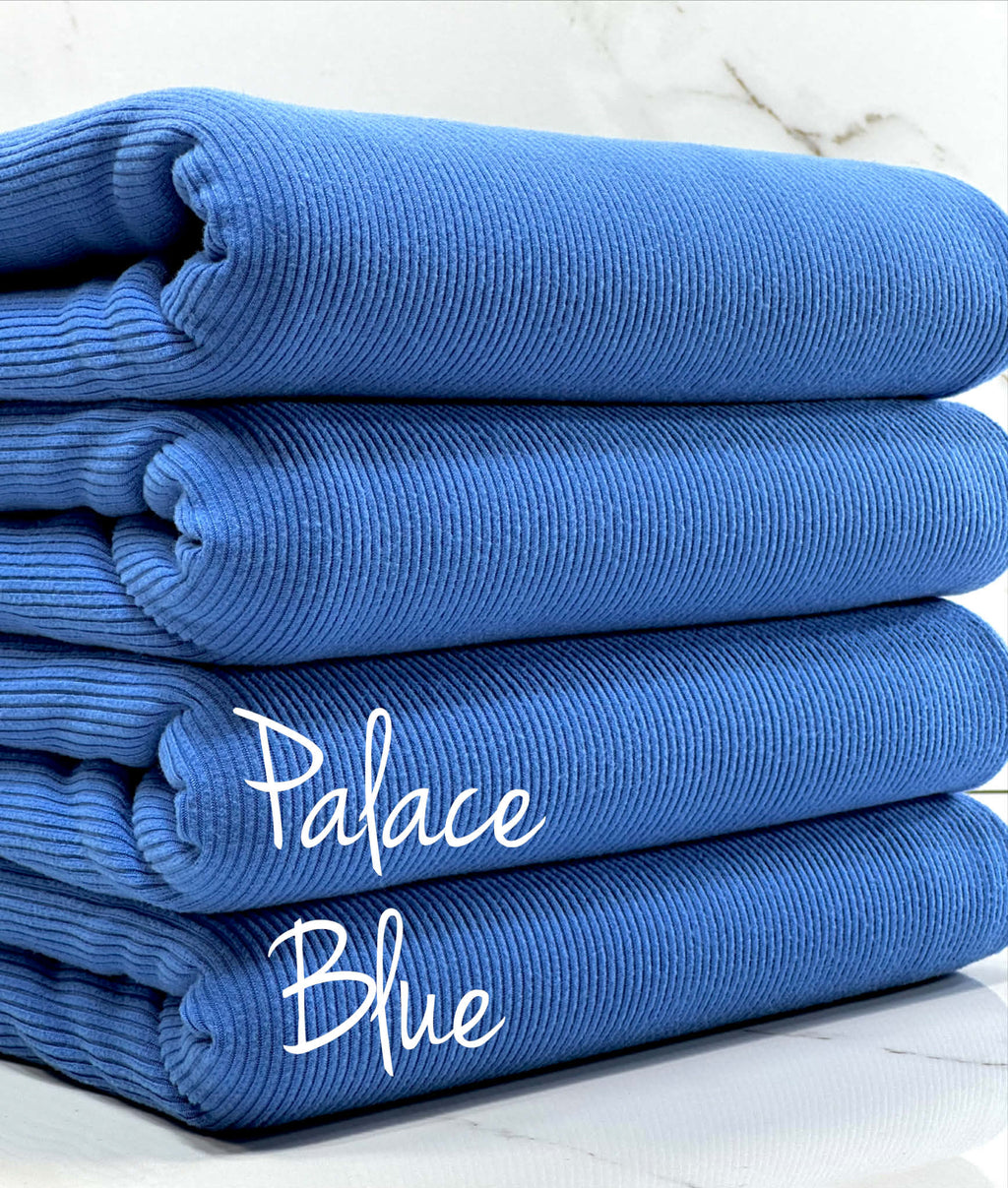 (2X2 SUPER COTTON FEEL RIB) PALACE BLUE
