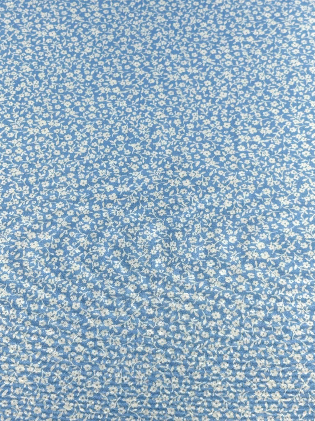 (DBP) TINY WHITE FLOWERS ON BLUE (1)