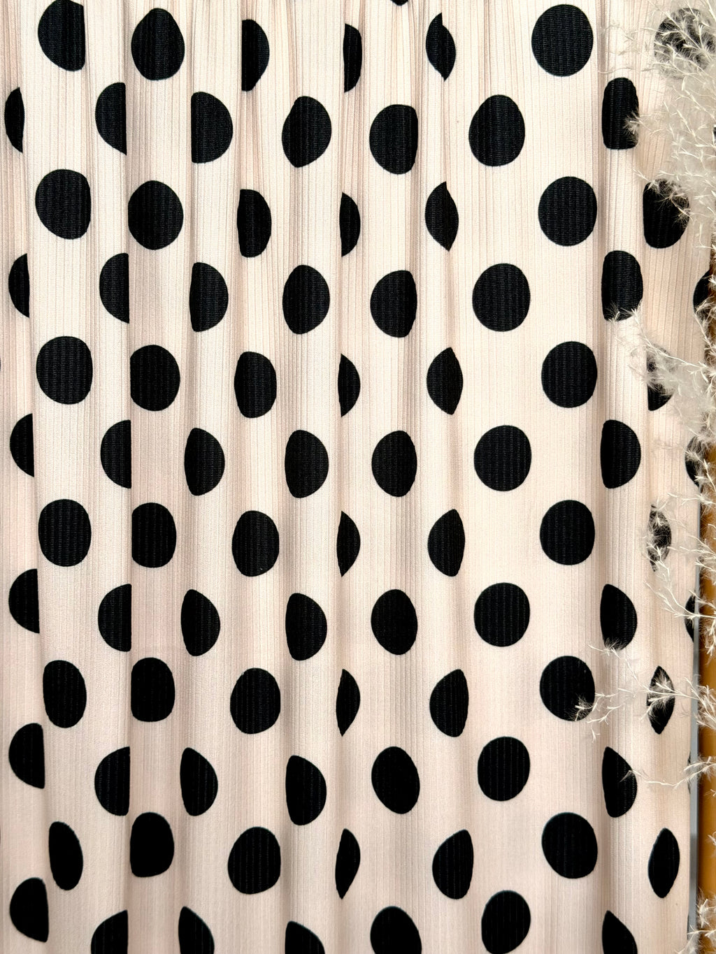 (4X2 YUMMY RIB) BLACK POLKA DOTS ON VANILLA
