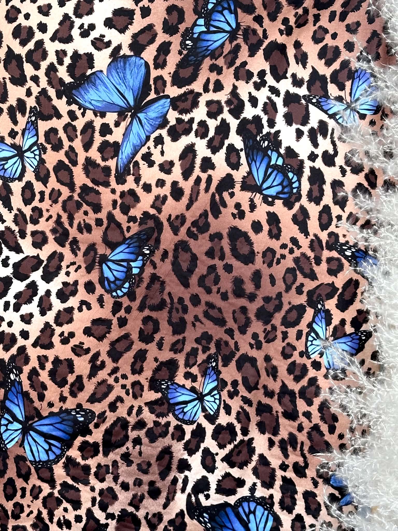 (DBP) BLUE BUTTERFLIES ON CHEETAH PRINT