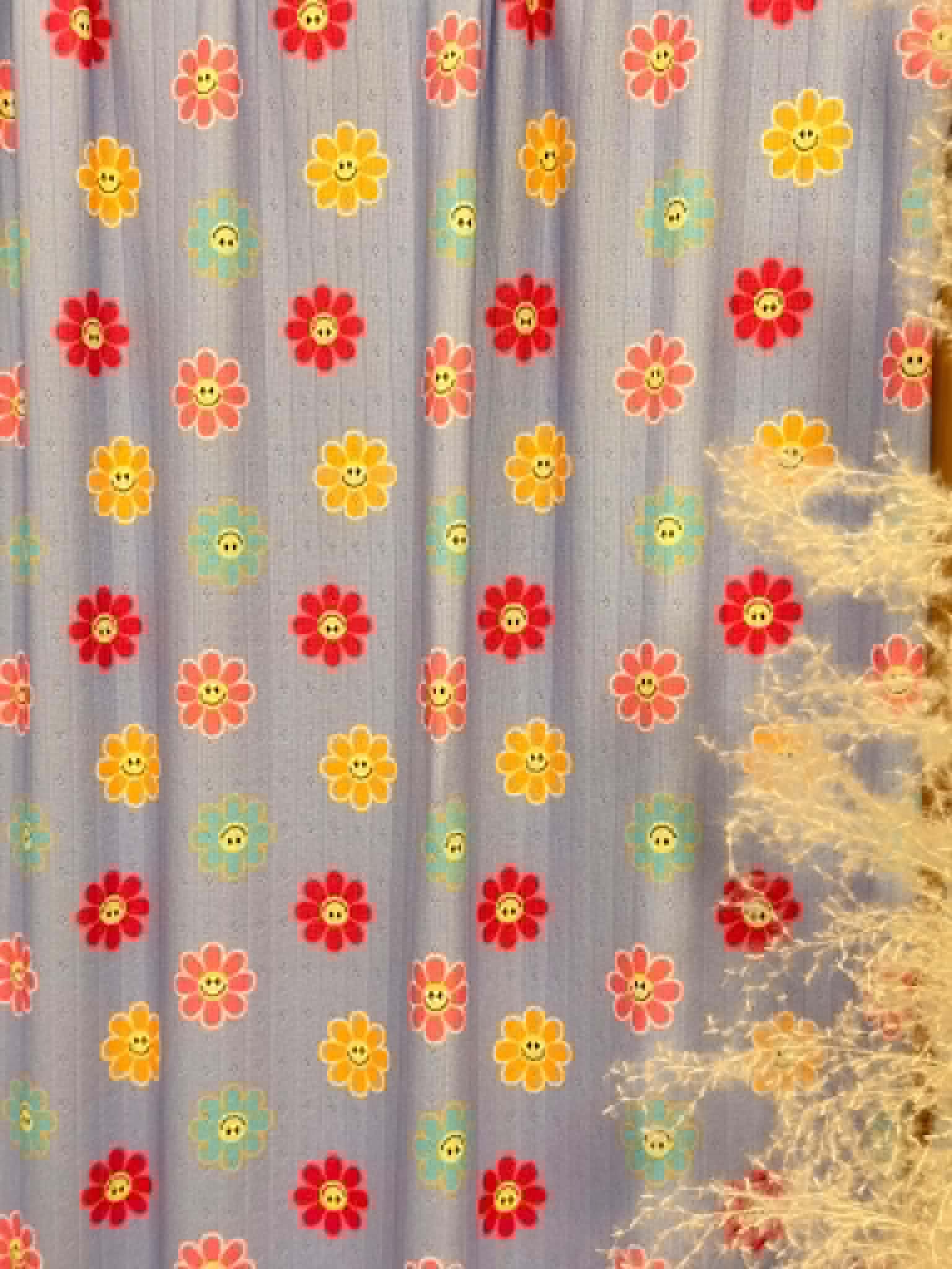 (POINTELLE RIB) SMILEY DAISYS