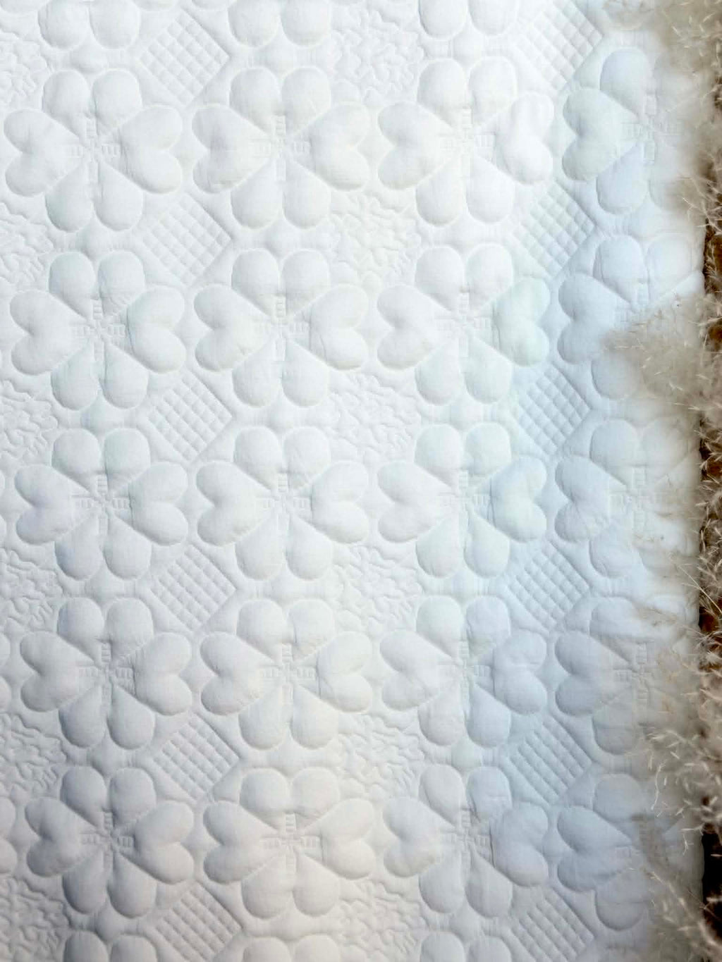 (JACQUARD KNIT) 3D WHITE EMBOSSED FLOWERS