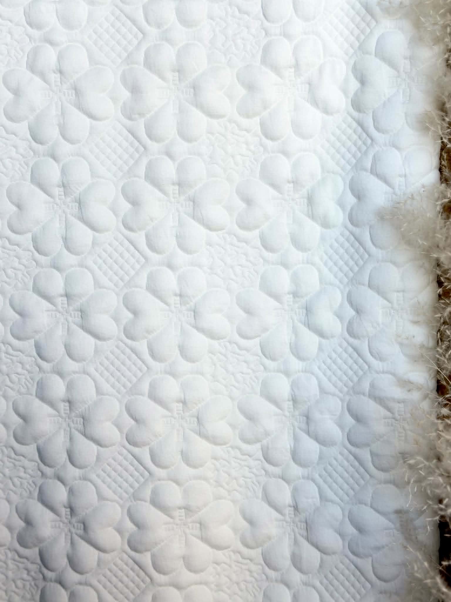 (JACQUARD KNIT) 3D WHITE EMBOSSED FLOWERS