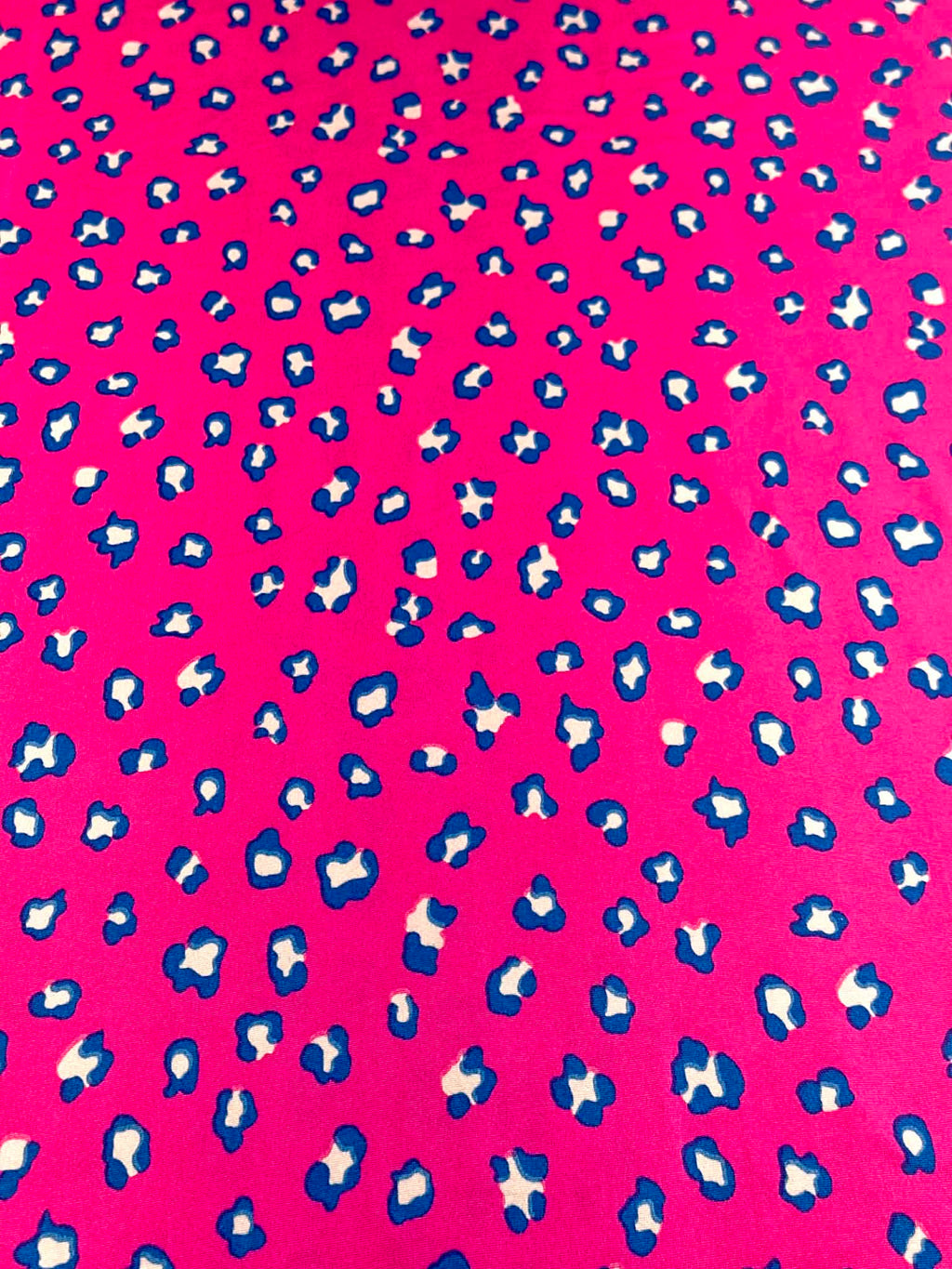 (DBP) TEAL CHEETAH ON FUCHSIA