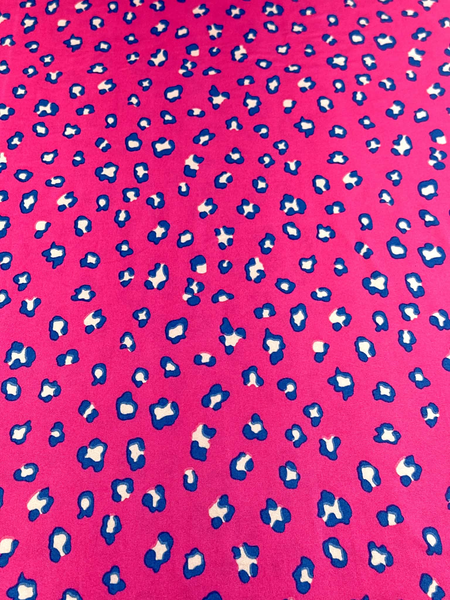 (DBP) TEAL CHEETAH ON FUCHSIA