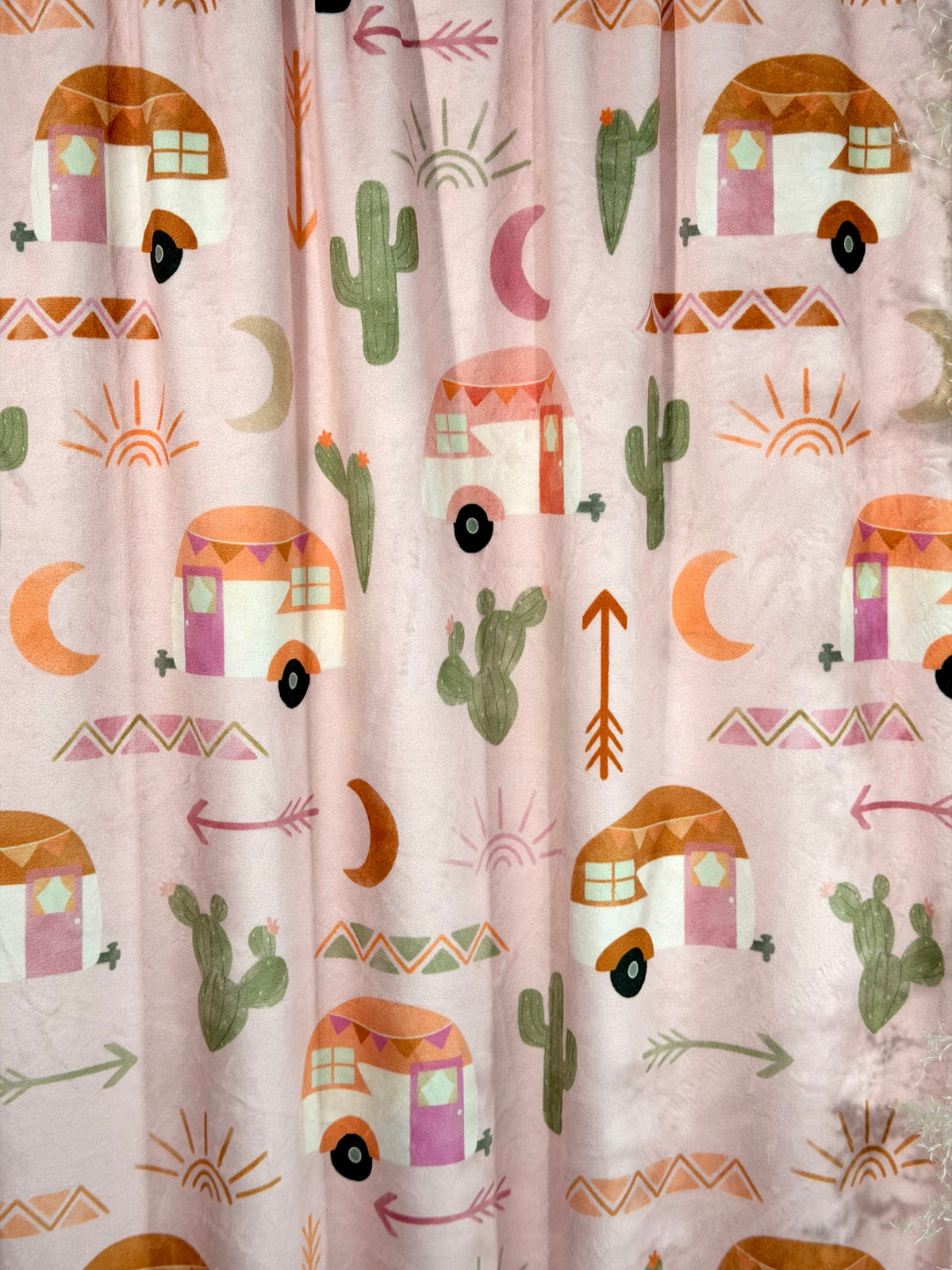 (MINKY) CACTUS LIFESTYE
