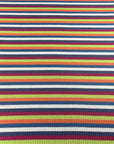 (SWEATER RIB) FALL STRIPES