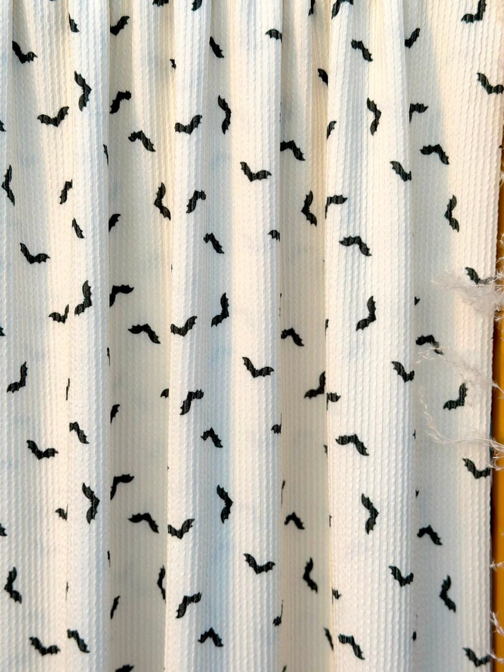 (URBAN RIB) BLACK BATS ON OFF WHITE