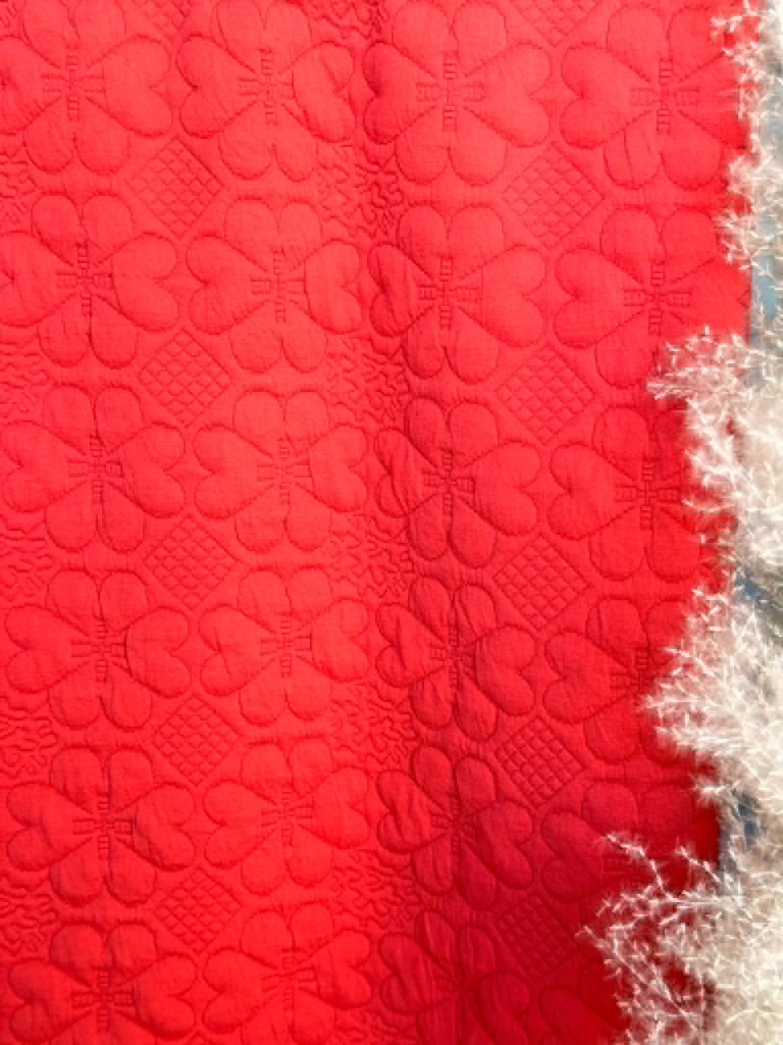 (JACQUARD KNIT) 3D BRIGHT RED EMBOSSED FLOWERS
