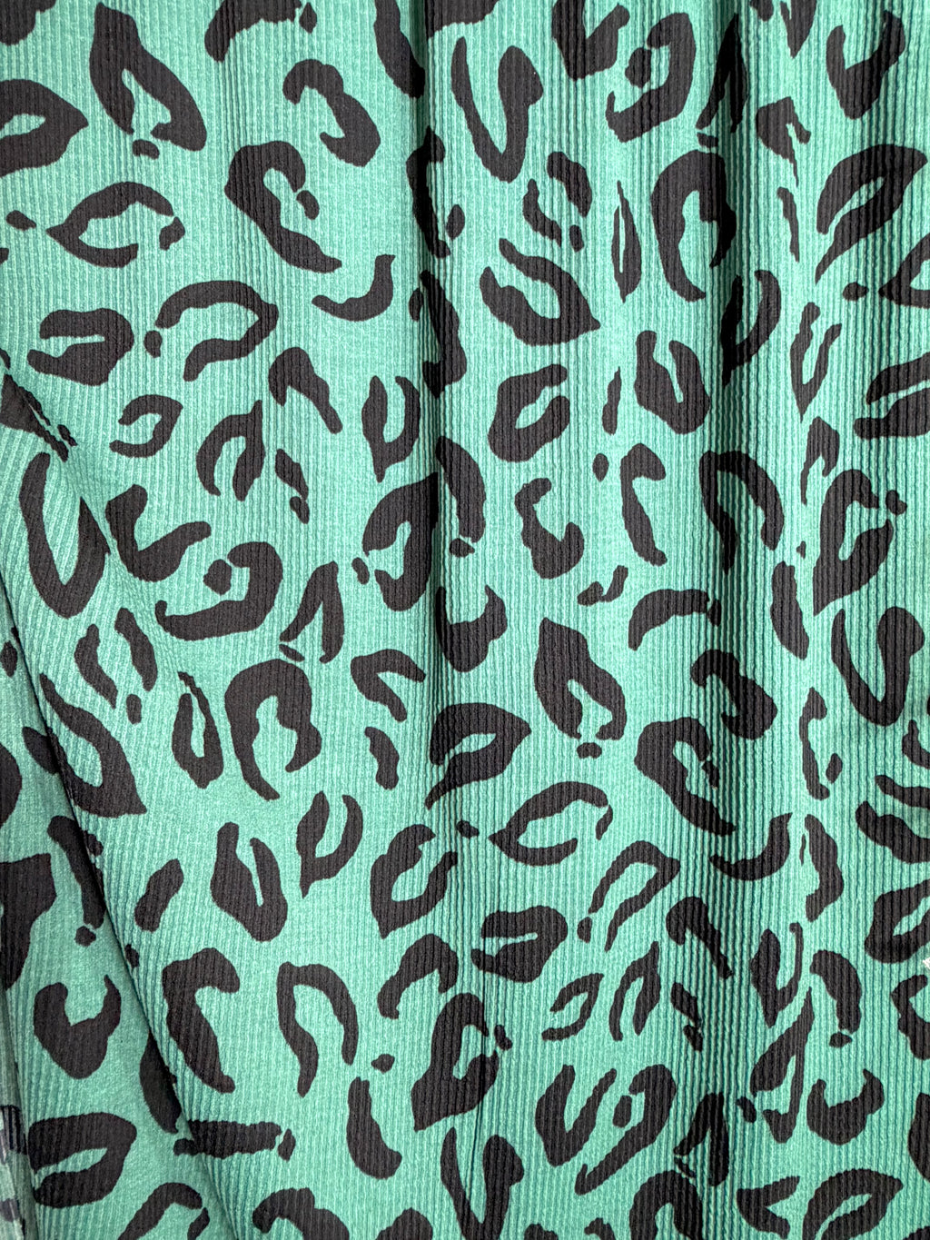 (URBAN RIB) BLACK CHEETAH ON SEAFOAM GREEN
