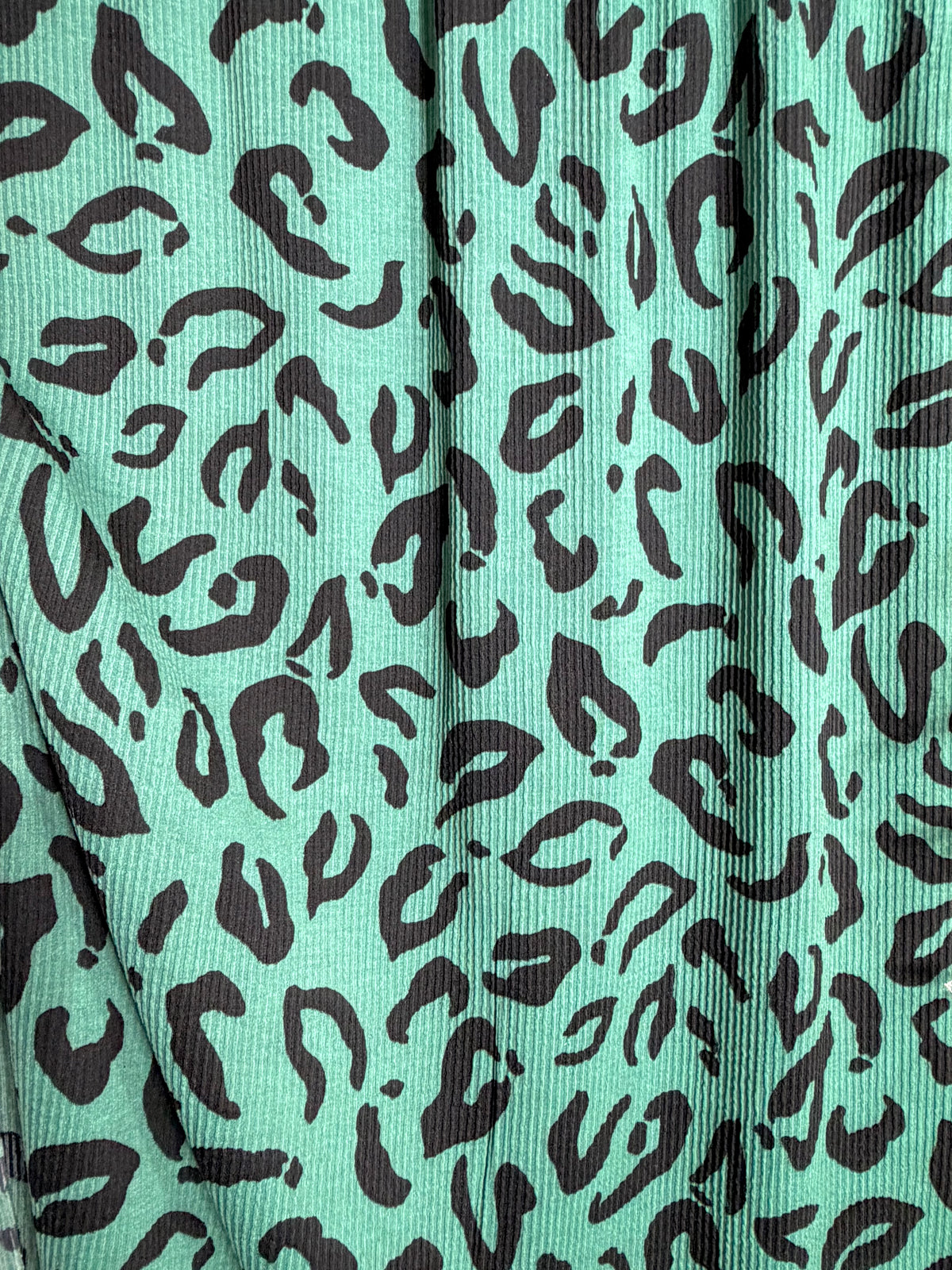 (URBAN RIB) BLACK CHEETAH ON SEAFOAM GREEN