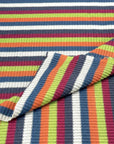 (SWEATER RIB) FALL STRIPES