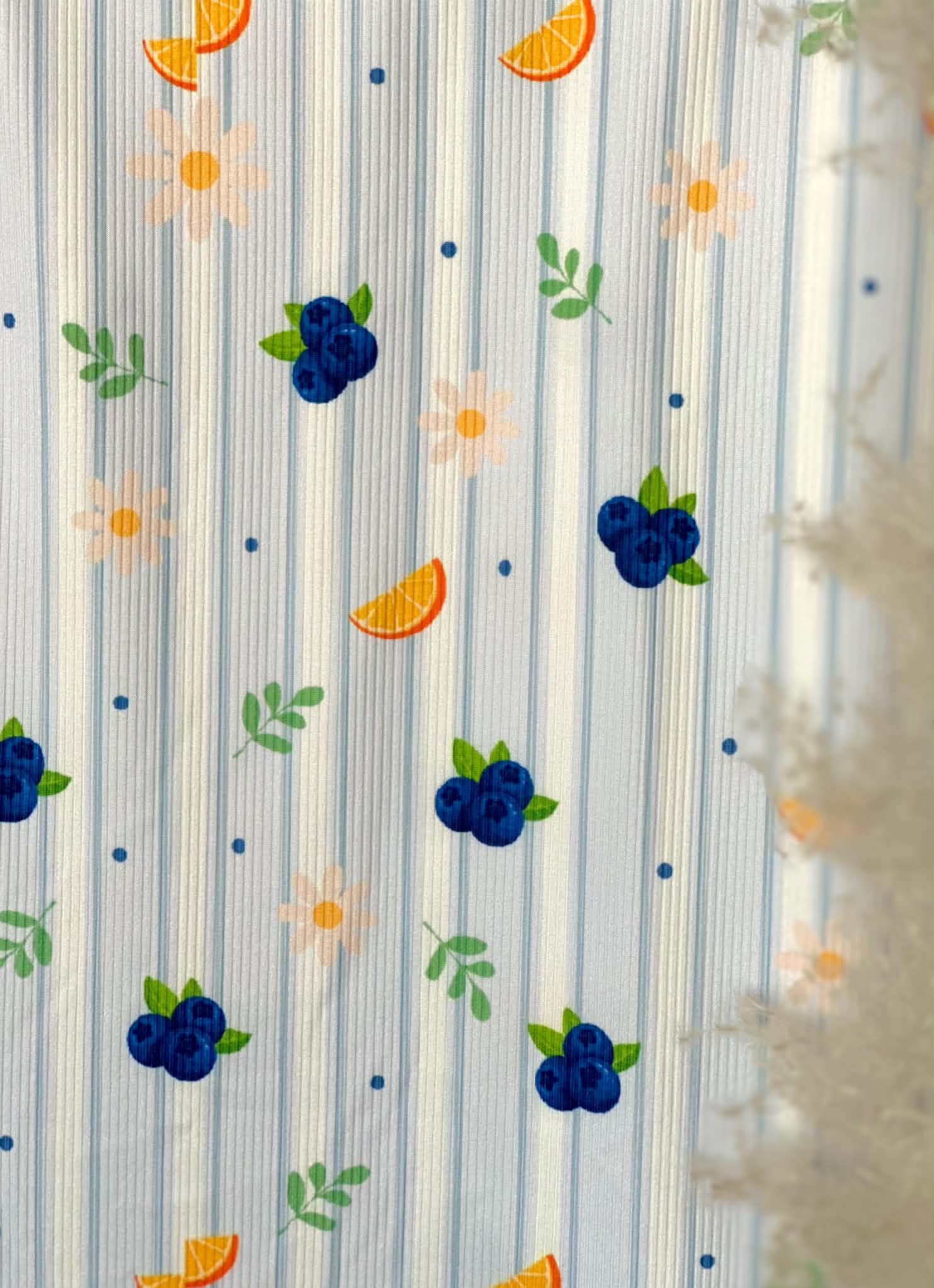 (2X2 YUMMY RIB) BLUE BERRIES, ORANGE SLICES AND WHITE DAISIES ON LIGHT BLUE