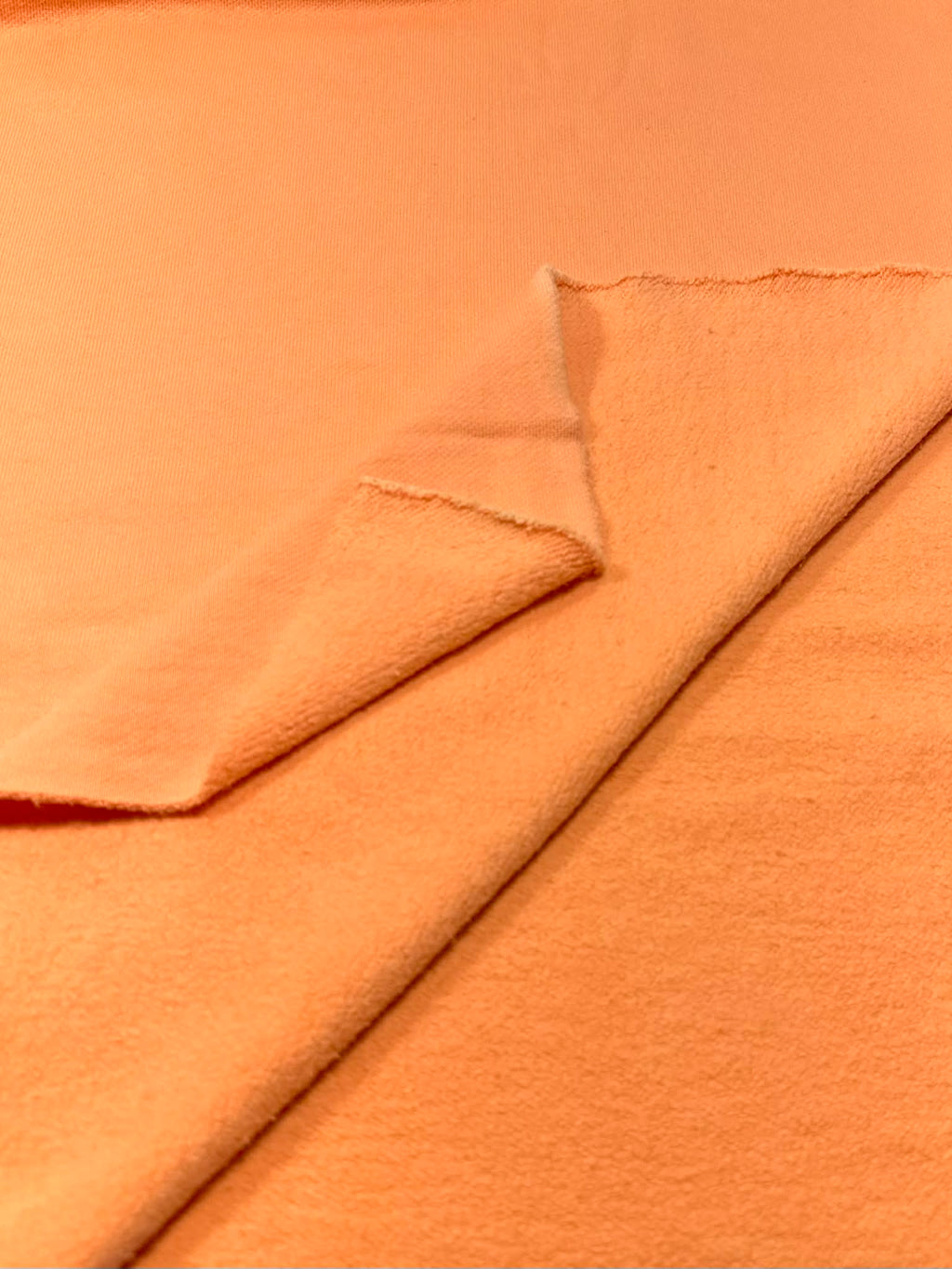 (HEAVY FRENCH TERRY BRUSHED) SPRING ORANGE