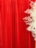 (VELVET) RED (3)