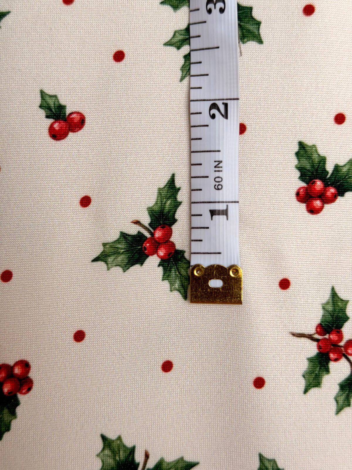 (DBP) HOLLY BERRIES AND TINY POLKA DOTS ON IVORY