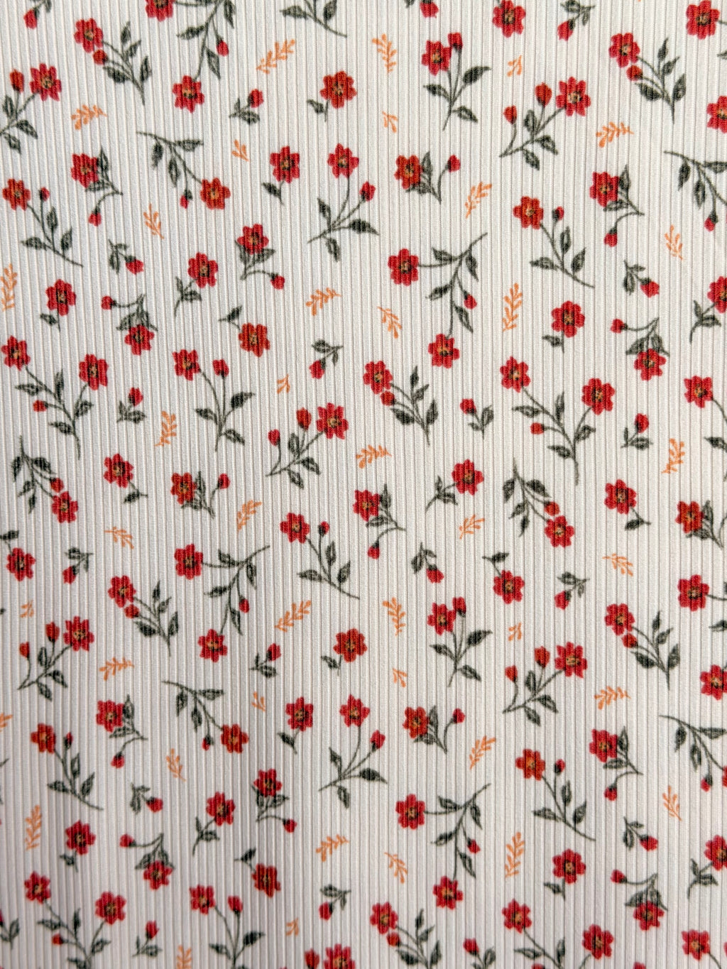 (4X2 YUMMY RIB) RUSTIC ROSE ON IVORY