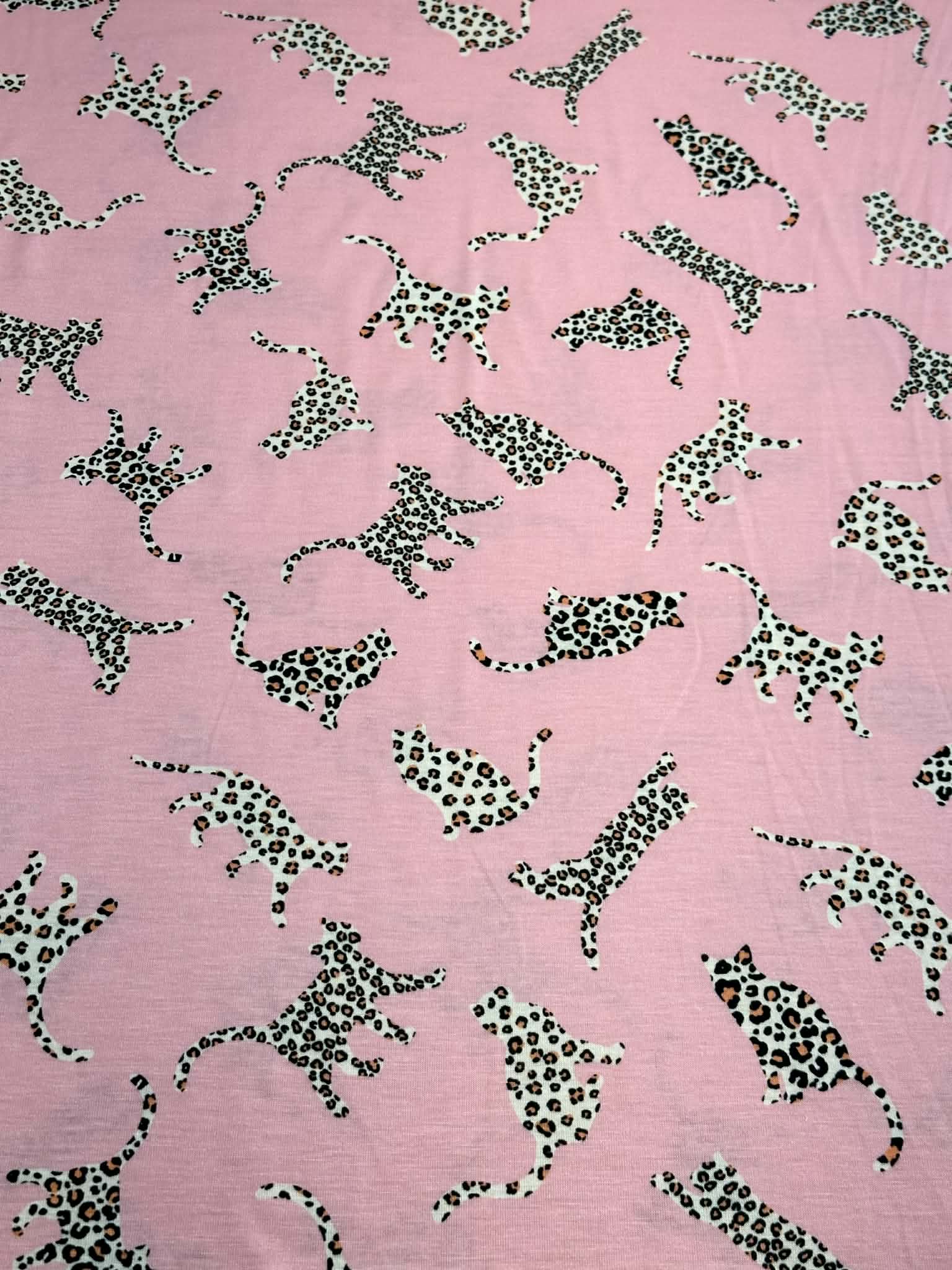 (JERSEY) CHEETAHS ON LIGHT CORAL